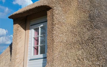 Blaisdon thatch roof disadvantages